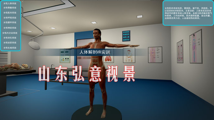 隧道施工法VR